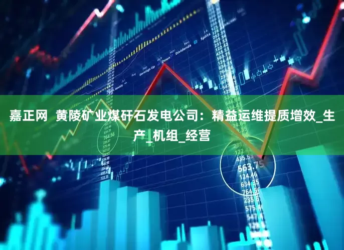嘉正网  黄陵矿业煤矸石发电公司：精益运维提质增效_生产_机组_经营