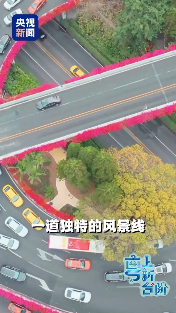 胜宇配资 “粤”上新台阶丨春天花会开&#32;但什么花能开一年四季？