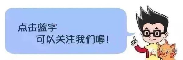永旺配资端 国家级保护区内，两头梅花鹿遭猎杀